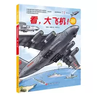 音像看,大飞机!张淋清,王懿墨著