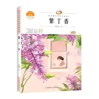 音像语文课本作家作品—紫丁香滕毓旭