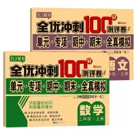 音像全优冲刺100分测评卷语文数学二年级上册共2册廉东星