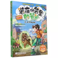 音像(漫画版12天才制造机)/中国原创漫画精品经典品牌书系杨鹏