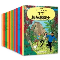 音像新版丁丁历险记小套装(共22册)(比)埃尔热|译者:王炳东