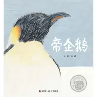 音像《帝企鹅》刘媛