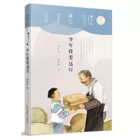 音像少年将要远行/曹文轩儿童文学奖获奖作品储成剑