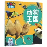 音像动物王国/大眼睛看世界韩雪