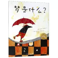 音像梦是什么/海豚绘本花园胡·西尔雷克