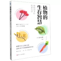 音像植物的生存智慧(植物四季的秘密生活)(日)田中修著