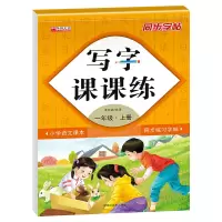 音像写字课课练一年级上册(附小册子)孙宇