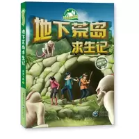 音像地下荒岛求生记侠客飞鹰