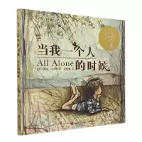 音像当我一个人的时候(精)(美)凯文·汉克斯(美)凯文·汉克斯