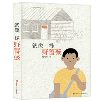 音像就像一株野蔷薇胡继风 著