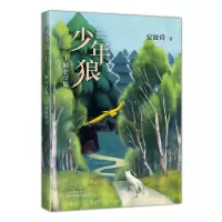 音像少年狼.1额仑草原安波舜