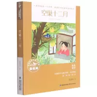 音像空巢十二月/全国儿童文学奖大奖书系邱易东 著