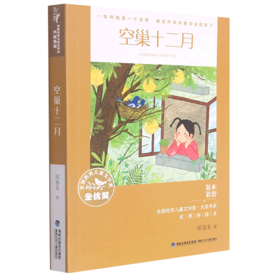 音像空巢十二月/全国儿童文学奖大奖书系邱易东 著