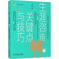 音像生涯咨询99个关键点与技巧李枢