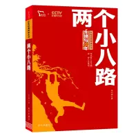 音像红色经典阅读丛书《两个小八路》李心田