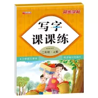 音像写字课课练二年级上册(附小册子)孙宇