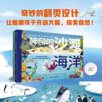 音像的地上地下系列(的沙滩海洋+的昏黎)[英]哈丽雅特·埃文斯