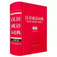 音像汉语成语词典(全新版)汉语大字典编纂处