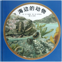 音像海边的动物(精)浅井稔