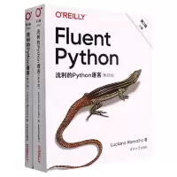 音像流利的Python语言 第2版()上下册(巴西)卢西亚诺·拉马略