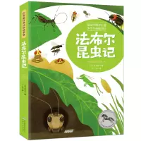 音像世界经典动物法布尔昆虫记(新版)法布尔