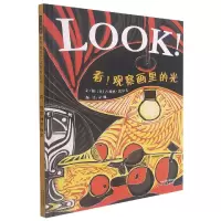 音像看!观察画里的光(新)[英]吉莉恩·沃尔夫