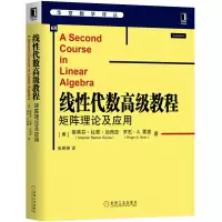 音像线代数级教程(矩阵理论及应用)/华章数学译丛