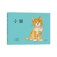 音像小猫(日)石井桃子 著 (日)横内襄 绘