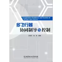 音像多飞行器协同制导与控制作者