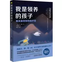 音像我是的:有关身世创伤的疗愈(美)乔·索尔