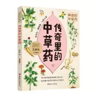 音像传奇里的草周志平
