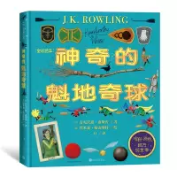 音像的魁地奇球(全彩绘本)(英)肯尼沃思·惠斯普