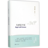 音像从感觉开始(精)陈嘉映