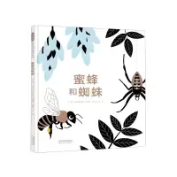 音像蜜蜂和蜘蛛(精)文/图:〔法〕埃米莉?瓦斯特