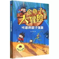 音像可恶的影子强盗/金龟子大冒险孙睿