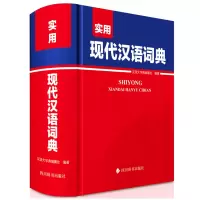 音像实用现代汉语词典汉语大字典编纂处编著