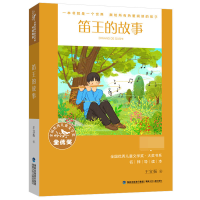 音像笛王的故事/全国儿童文学奖大奖书系王宜振 著