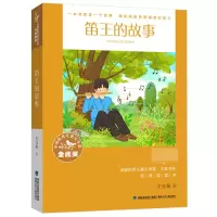 音像笛王的故事/全国儿童文学奖大奖书系王宜振 著