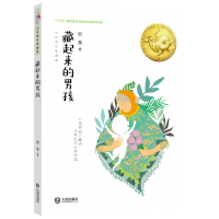 音像藏起来的男孩/大白鲸幻想国度迟慧 著