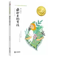 音像藏起来的男孩/大白鲸幻想国度迟慧 著
