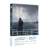 音像再见安息岛王稼骏