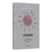 音像太阳斜照(多纳尔·瑞安作品)(爱尔兰)多纳尔·瑞安