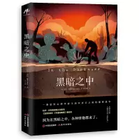 音像黑暗之中迈克·奥默