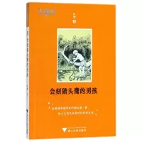 音像会刻的男孩/世界华文儿童文学原创精品叶莹