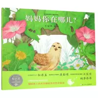 音像妈妈你在哪儿(精)/中国原创绘本精品系列车丽娇