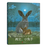 音像再见小兔子(精)文