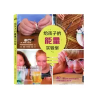 音像给孩子的能量实验室[美]埃米莉·霍贝克,美国能源教育发展