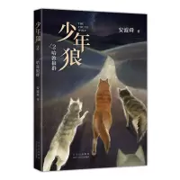 音像少年狼.2哈敦家族安波舜