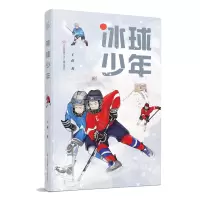 音像冰球少年王苗