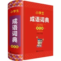 音像小学生成语词典(双色版)中国